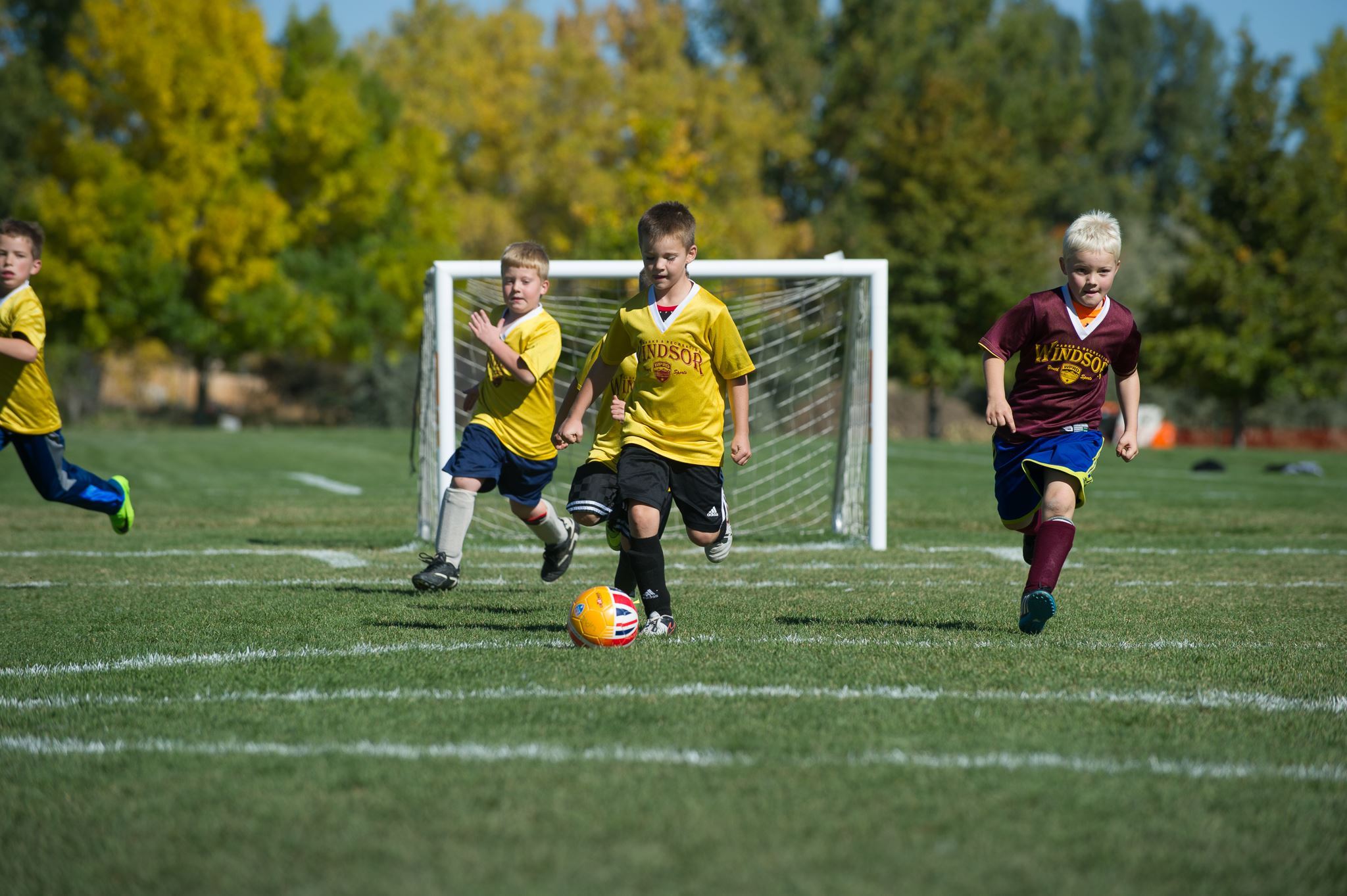 Little Boys Running After a Soccer Ball During Youth Soccer Game