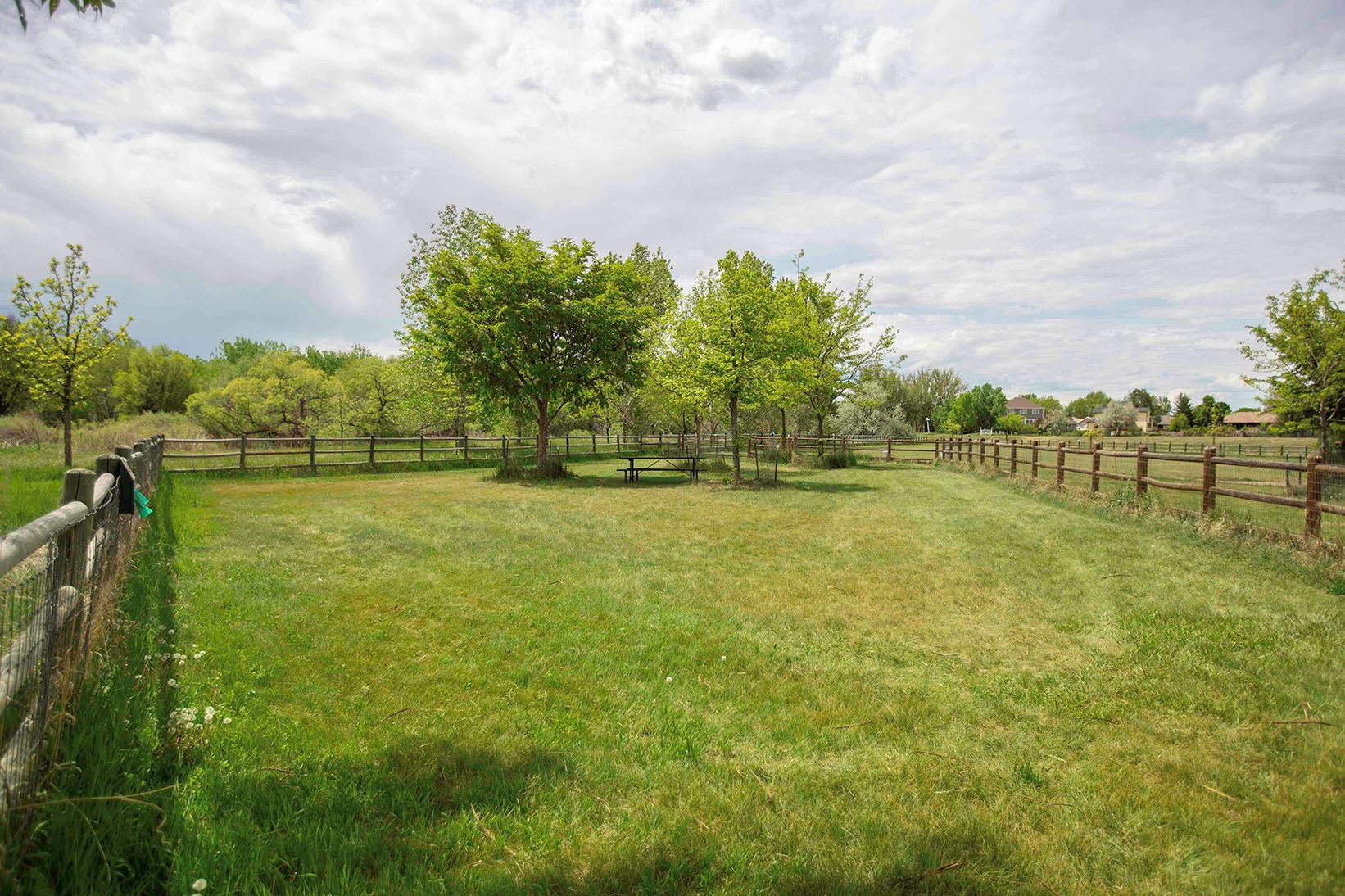 Smaller grass dog run area infenced with trees in back corner