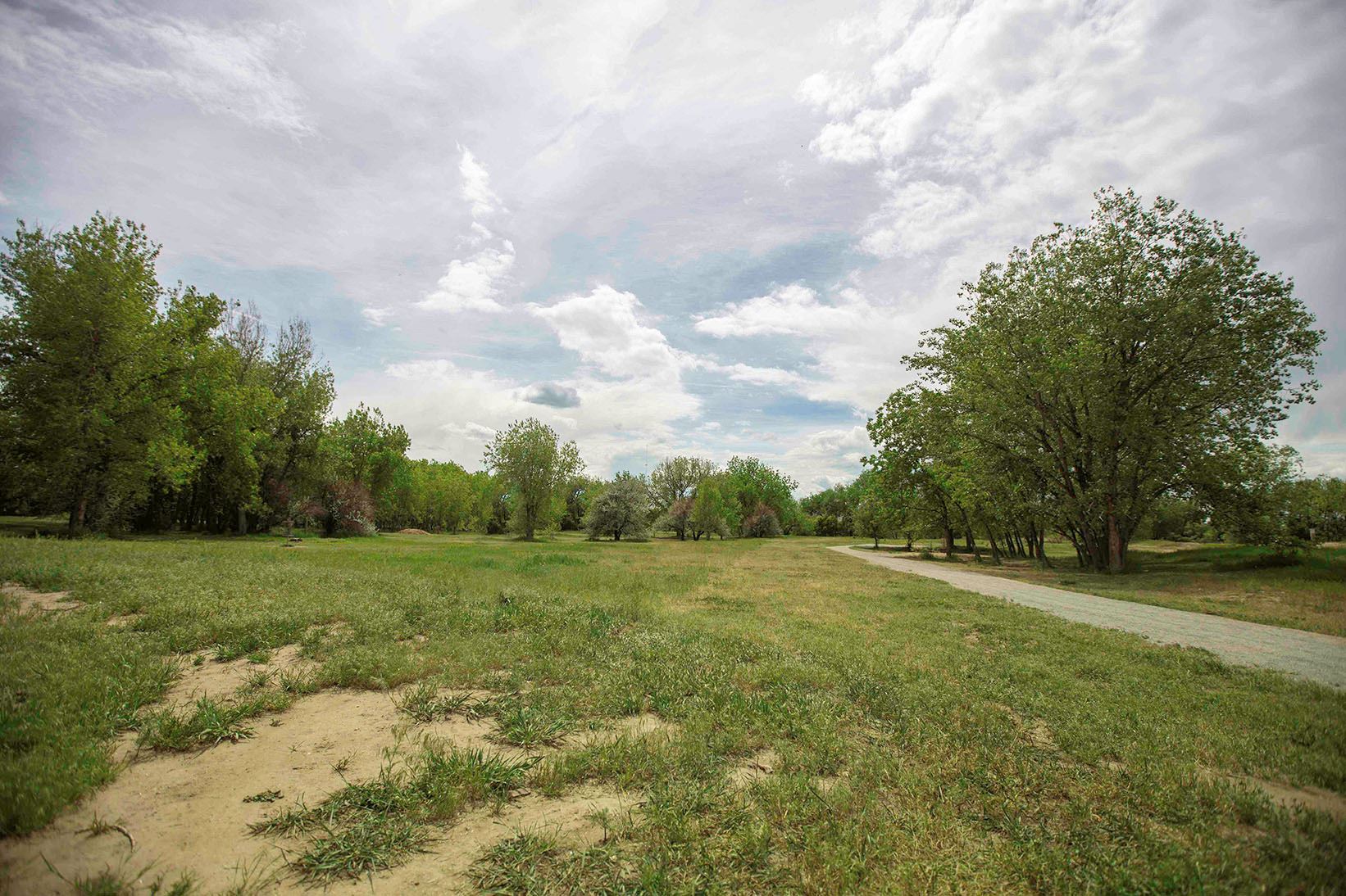 Open disc golf field with disc hole in the distance