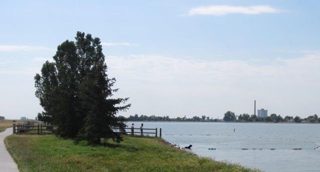 A dog swimming in a large body of water with adults watching