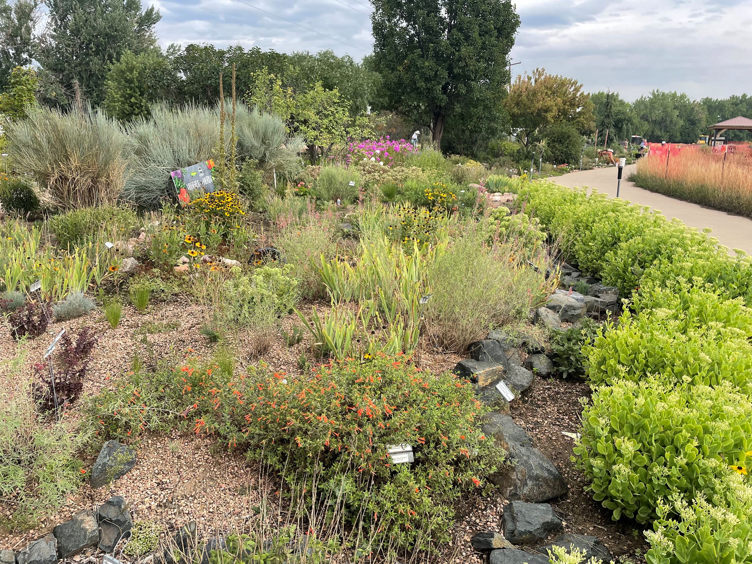 view of grasses, shrubs, and perennials in the garden
