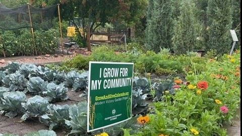 vegetable garden with a sign that reads I Grow For My Community